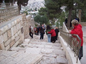 Very emotive walk on these remains of ancient steps leading to the Kidron Valley from “upper” Jerusalem next to Caiaphus’ House. It is likely that Jesus walked these steps so many times on his way to Gethsemane and lastly on his way to Golgotha after being scourged in the dungeon here.